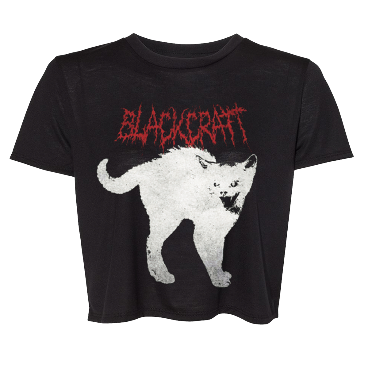 Scaredy Cat Crop Top